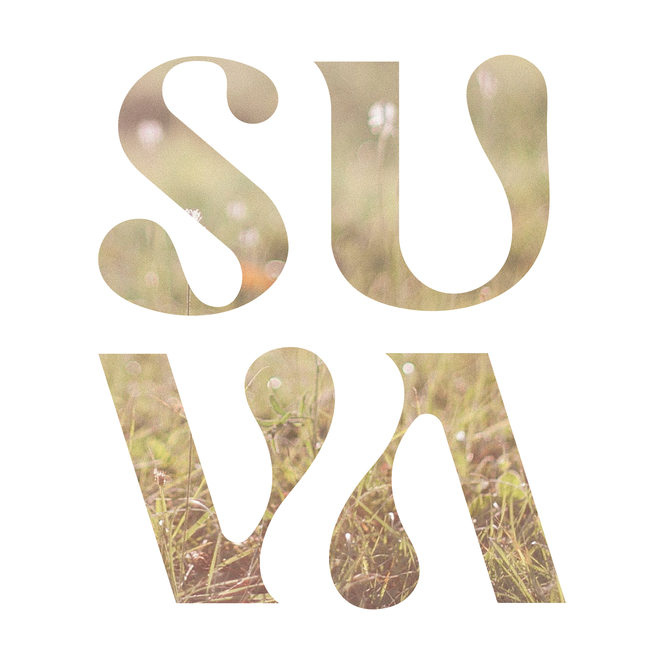 font-01